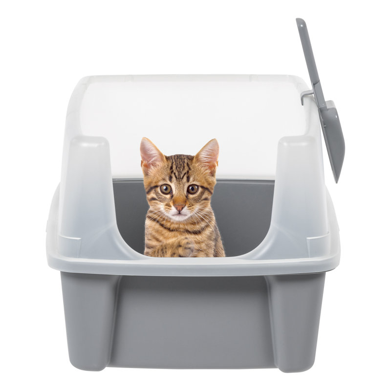 IRIS USA Inc. Open Top Cat Litter Box with Scoop Wayfair